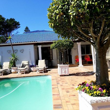 Dolphin Inn Blouberg Блуберґстранд Екстер'єр фото