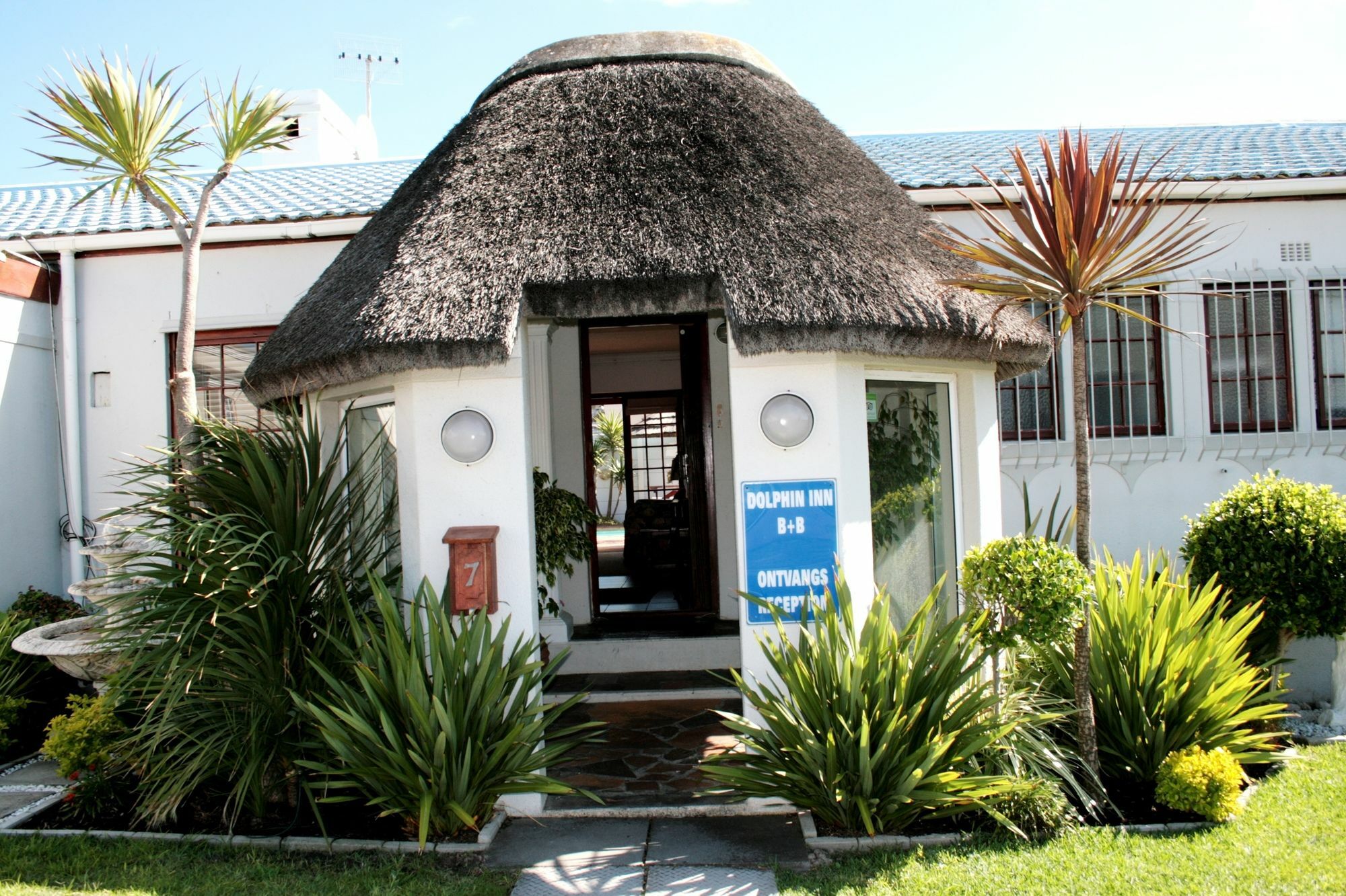 Dolphin Inn Blouberg Блуберґстранд Екстер'єр фото